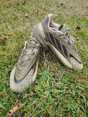 Men's adidas Originals OZELIA FOCUS GX6449 Olive/Green      No Box
